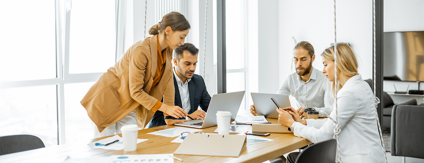 IT Consulting and Strategy